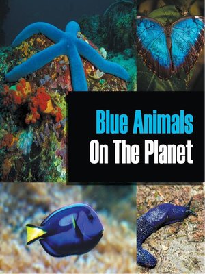 cover image of Blue Animals On the Planet